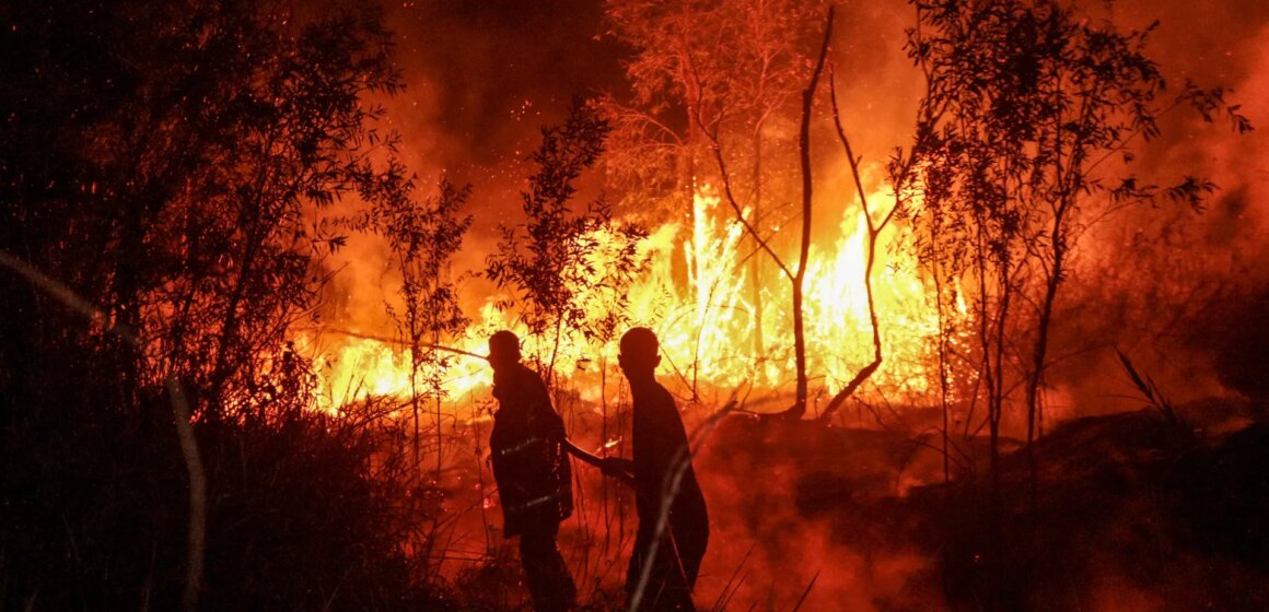 Fyra dödades när Indonesien bekämpade de värsta skogsbränderna på mer än ett decennium

