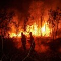 Fyra dödades när Indonesien bekämpade de värsta skogsbränderna på mer än ett decennium


