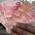 Kan Zimbabwes ZiG vinna förtroende och ersätta den amerikanska dollarn?

