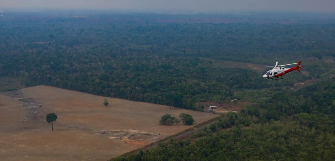 Brasiliens avskogning från Amazonas når den lägsta nivån någonsin

