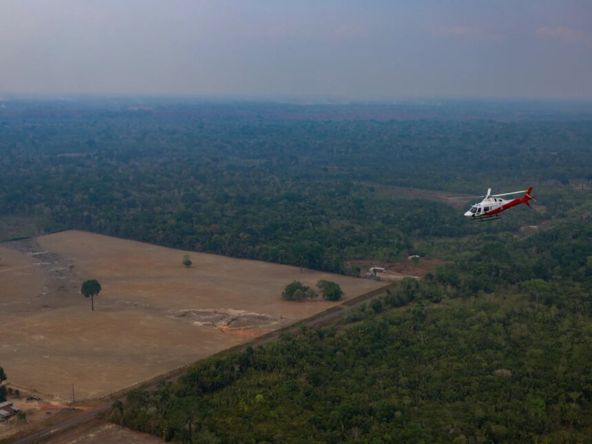Brasiliens avskogning från Amazonas når den lägsta nivån någonsin


