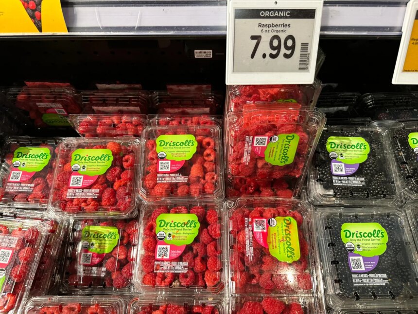 Konsumentsentimentet i USA når ett nästan rekordlågläge före mellanårsvalet

